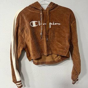 Vintage champion cropped hoodie